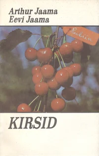 Kirsid