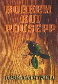 Rohkem kui puusepp
