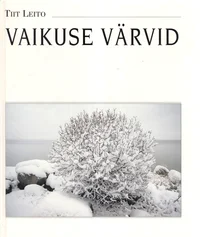 Vaikuse värvid