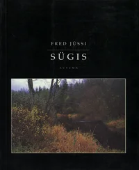 Sügis