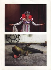 Eesti Kunstiakadeemia tudengitööde kataloog ja aastaraamat 2008/2009. Estonian Academy of Arts Student Works and Yearbook 2008/2009
