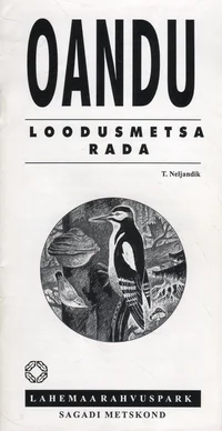 Oandu loodusmetsa rada