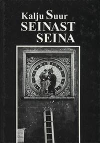 Seinast seina