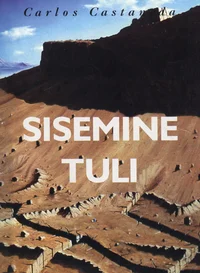 Sisemine tuli