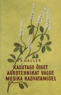 Kasutage õiget agrotehnikat valge mesika kasvatamisel