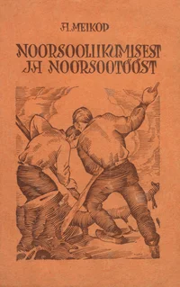 Noorsooliikumisest ja noorsootööst