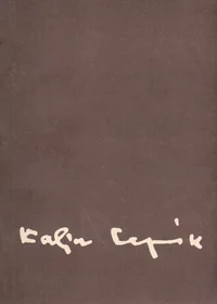 Kalju Lepik