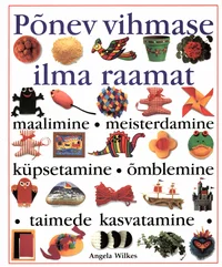 Põnev vihmase ilma raamat
