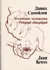 Põhjatud silmapilgud. Бездонные мгновения