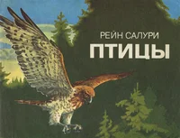 Птицы. Ptitsõ