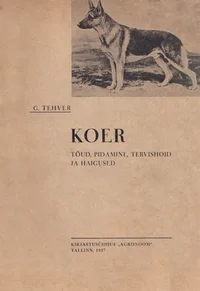 Koer