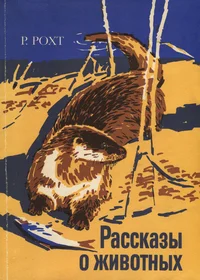 Рассказы о животных. Rasskazõ o životnõh