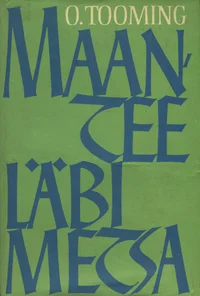 Maantee läbi metsa