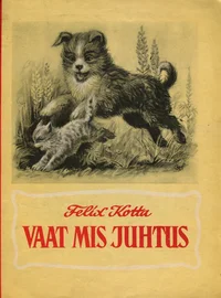 Vaat mis juhtus