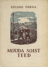 Mööda soist teed. Noorsoojutustus