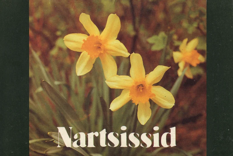 Nartsissid - Aino Toomel (Eesti Põllumajanduse Infokeskus, 1990). Kaanel on lähivõte kolmest õitsevast kollakasvalge kroonlehtedega nartsissist rohelisel varrel. Foto on naturalistlik ja näitab lilli selgelt tumedal taustal.