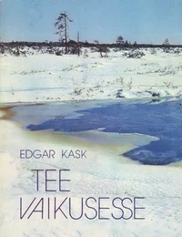 Tee vaikusesse