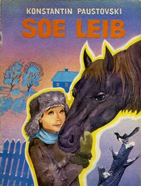 Soe leib