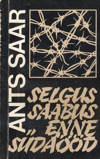 Selgus saabus enne südaööd