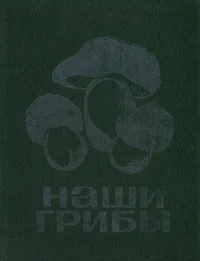 Наши грибы. Naši gribõ