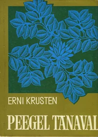 Peegel tänaval