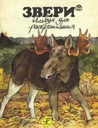 Звери. Zveri