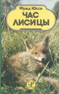 Час лисицы. Tšas lisitsõ