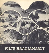 Pilte Haanjamaalt