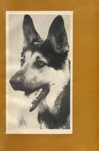 Vabariikliku teenistuskoerte näituse kataloog 1973. a. Каталог республиканской выставки служебных собак 1973 г.