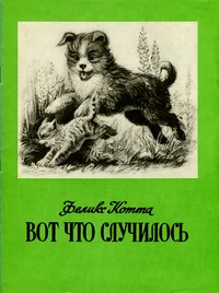 Вот что случилось. Vot što slutšilos