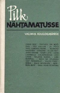 Pilk nähtamatusse