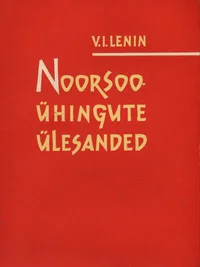 Noorsooühingute ülesanded