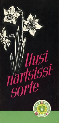 Uusi nartsissisorte