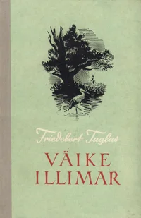 Väike Illimar