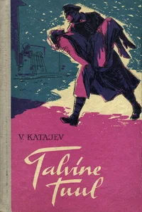 Talvine tuul
