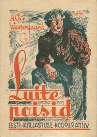 Luitepoisid