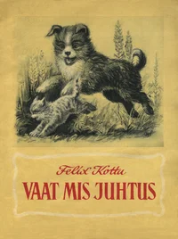 Vaat mis juhtus