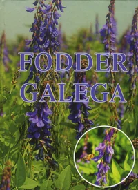 Fodder galega