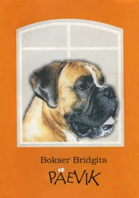 Bokser Bridgita päevik