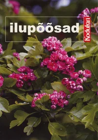 Ilupõõsad