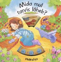 Mida mul tarvis läheb?