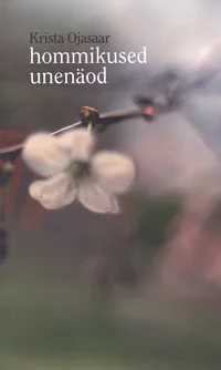 Hommikused unenäod