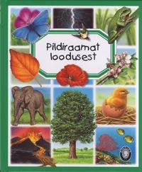 Pildiraamat loodusest