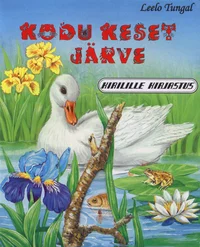 Kodu keset järve