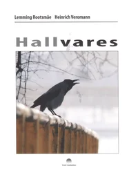 Hallvares
