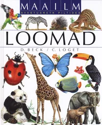 Loomad