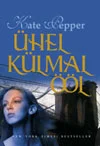 Ühel külmal ööl