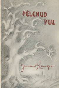 Põlenud puu