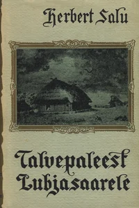 Talvepaleest Lubjasaarele