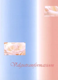 Valgustransformatsioon